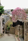 Auray.