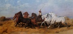 Rosa Bonheur : "La foulaison du blé en Camargue".