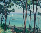 Albert Marquet : "Jardin au Pyla".