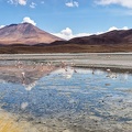 Bolivie : Province du Lipez, lagune Cañapa