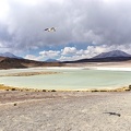 Bolivie : Province du Lipez, lagune Honda