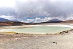 Bolivie : Province du Lipez, lagune Honda
