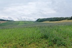 Randonnée Provins.