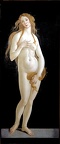 Botticelli : Vénus pudica.