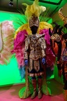 Carnaval de Rio de Janeiro.