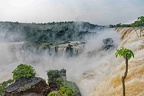 Chutes d'Iguazu, coté argentin.